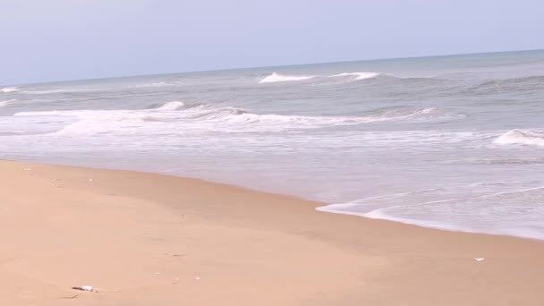 Пляж Атлантического Океана — стоковое видео