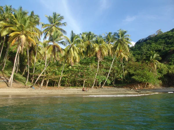 Krásný Výhled Tropickou Pláž Palmami Lidmi Odpočívajícími Písku — Stock fotografie