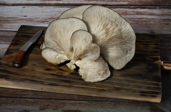 Cogumelos Cardo Frescos Recém Colhidos Campo Pronto Para Cozinhar Fundo — Fotografia de Stock