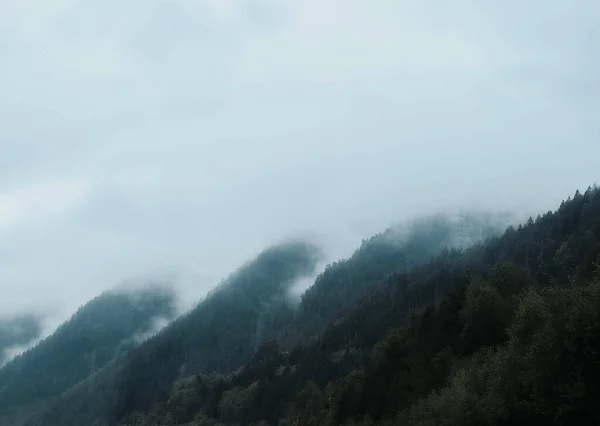 雪に覆われた山々の美しい景色 木々に覆われた霧深い山の斜面 — ストック写真