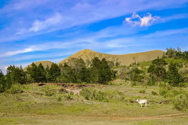 Beautiful View Large Mountains Fields Cloudy Sky — Stock Photo, Image