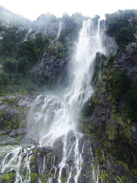 Milford Sound Fiordland Nuova Zelanda Scogliere Fiorentine Sorgono Verticalmente Dalle — Foto Stock