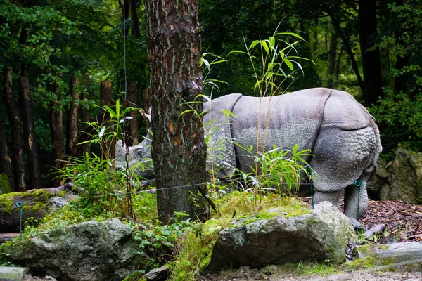 Крупный План Большого Чёрного Носорога Зоопарке — стоковое фото