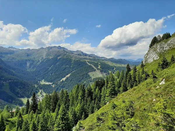 Een Bos Bergen Een Zonnige Dag — Stockfoto