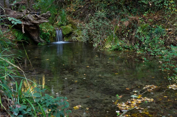 高山溪流中的瀑布 茂密的植被 — 图库照片