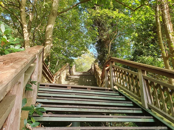 Low Angle Shot Staircase Park Daylight — 스톡 사진