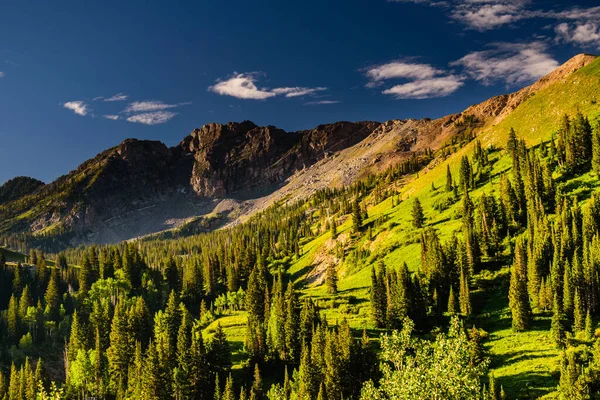 Bel Prato Verde Con Alberi Fianco Della Montagna — Foto Stock