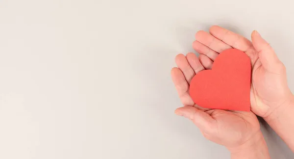 Kadın Elinde Kırmızı Bir Kalp Tutuyor Gri Renkli Arka Plan — Stok fotoğraf