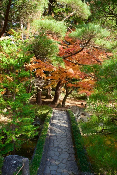 秋の木々の間の小さな道の垂直ショット — ストック写真