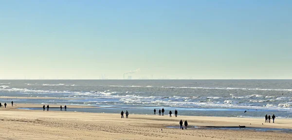 海滩上的社交距离 2020年秋科维德封锁期间散步的人 荷兰诺德韦克 — 图库照片