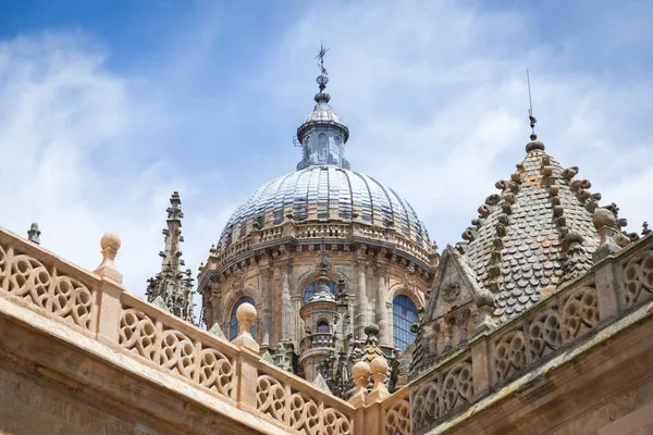 Bir Salamanca Katedrali Salamanca Spanya — Stok fotoğraf