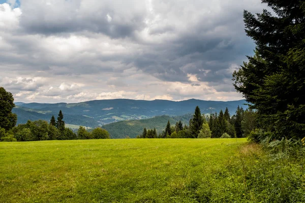 背景に高い木 山と緑の風景の美しい景色 — ストック写真