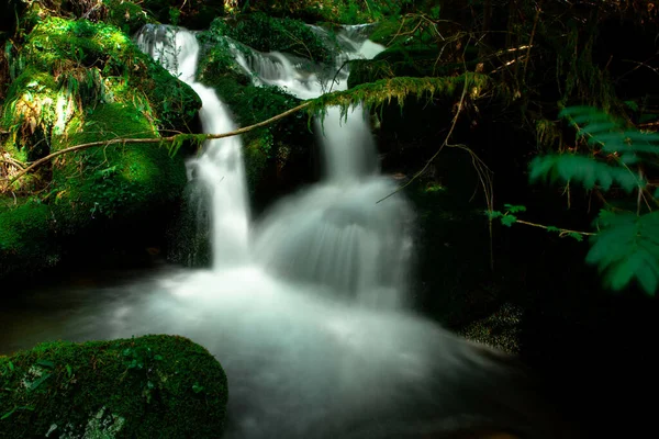 Uma Pequena Cachoeira Cercada Por Rochas Musgosas — Fotografia de Stock