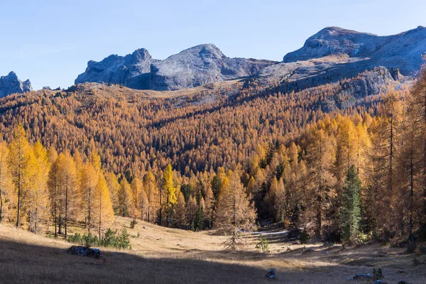 Outono Dourado Perto Lago Federa Tirol Sul — Fotografia de Stock