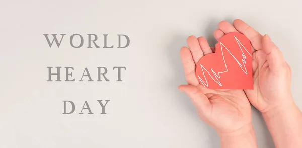 Mulher Está Segurando Coração Vermelho Mão Dia Coração Mundo Fundo — Fotografia de Stock