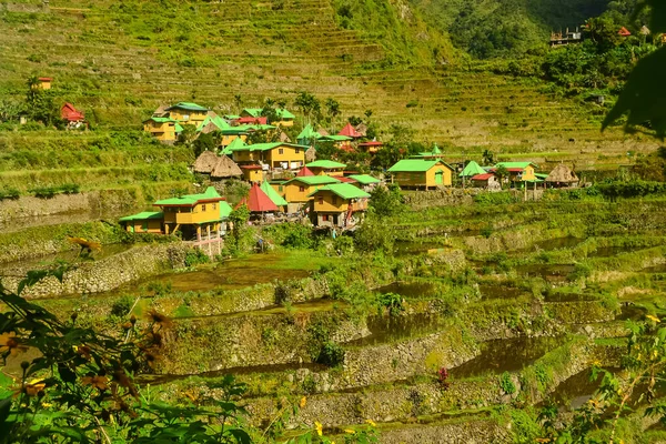 Vue Aérienne Petites Maisons Bois Dans Village Batad Luçon Philippines — Photo