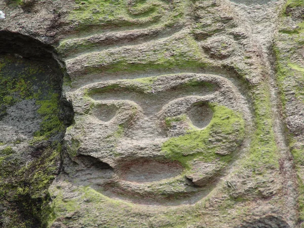 Vigirima Petroglyphs Sur Route Salée Indigène Entre Patanemo Guacara San — Photo