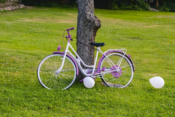 Cykel Trädet Grön Äng — Stockfoto