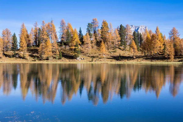 Idyllic Scene Lago Federa Cortina Ampezzo Autumn — Stock Photo, Image