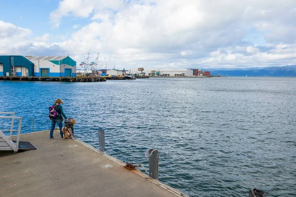 ニュージーランドのウェリン 10月14 2019 海岸に立って海を見ている母親と彼女の子供 — ストック写真