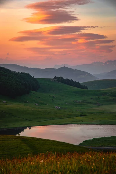 Vertical Shot Hills Covered Greenery Sunlight Beautiful Sunset — Foto de Stock