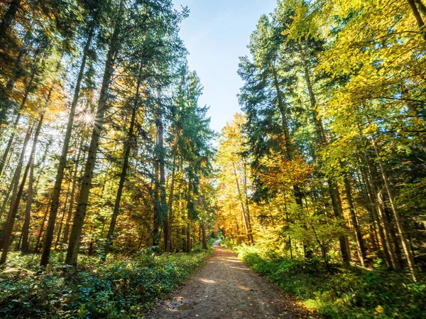 Κυριακή Φθινόπωρο Δάσος Πόδια Στη Βαυαρία — Φωτογραφία Αρχείου