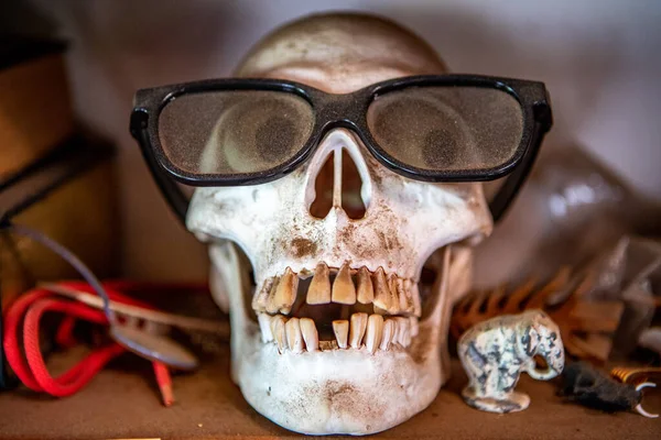 Closeup Shot Funny Skull Glasses — Stock Photo, Image
