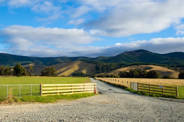 Den Molniga Himlen Över Gröna Fält Och Landskap Wellington Nya — Stockfoto