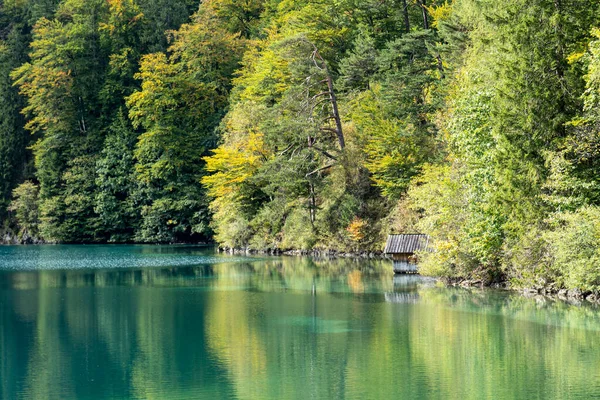 Una Hermosa Vista Del Lago Árboles Verdes Contra Cielo Nublado — Foto de Stock