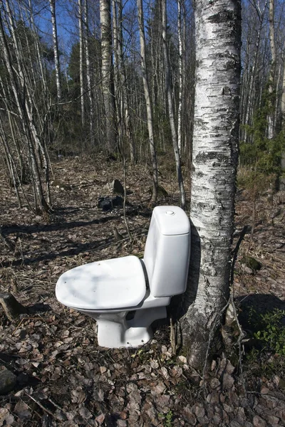 Vertical Shot Toilet Seat Next Tree Forest — 图库照片