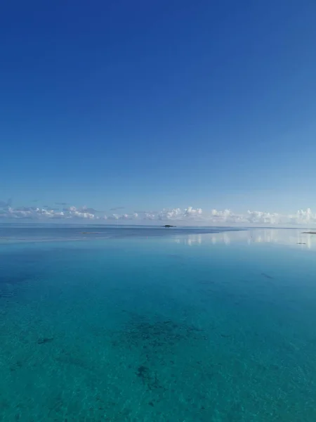 Een Verticaal Schot Van Een Heldere Blauwe Lucht Boven Een — Stockfoto