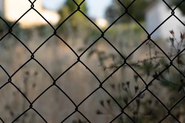 Egy Közeli Kép Egy Kerítésről Homályos Háttérrel — Stock Fotó
