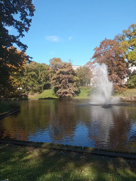 在拉脱维亚里加的一个公园的池塘里 一个平静的喷泉景观 — 图库照片