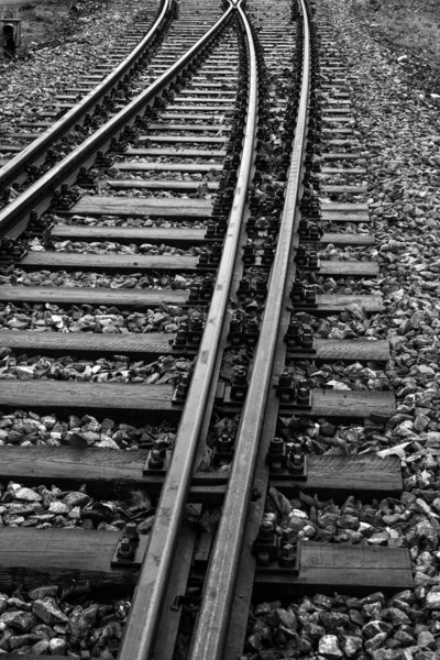 Vertical Shot Tracks Disused Railway Line Grayscale — стоковое фото