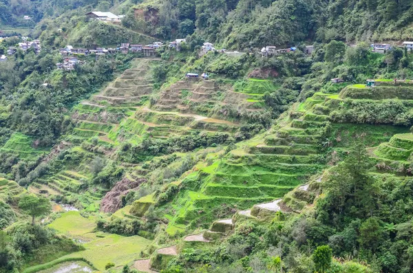 Uma Vista Panorâmica Dos Banaue Rice Terraces Banaue Filipinas — Fotografia de Stock