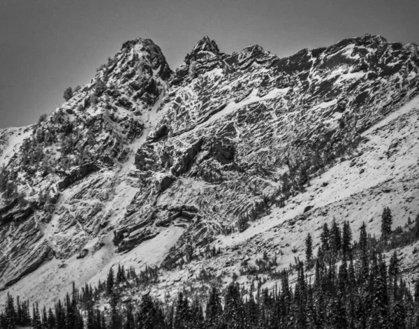 Szary Strzał Śnieżnych Skalistych Klifów — Zdjęcie stockowe