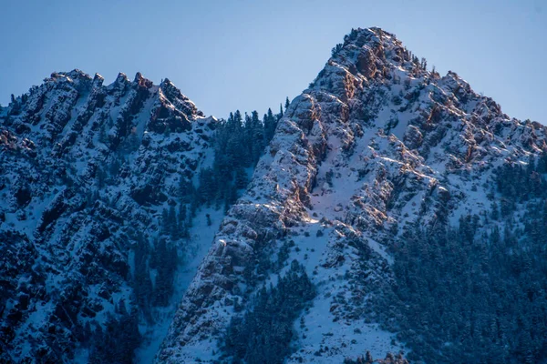 明るい空の下で雪に覆われた山々や崖の美しいショット — ストック写真