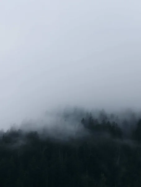 Una Splendida Vista Sulle Montagne Innevate Nebbiosi Pendii Montuosi Ricoperti — Foto Stock