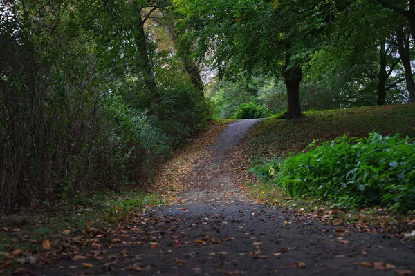 Ścieżka Parku Autumn — Zdjęcie stockowe