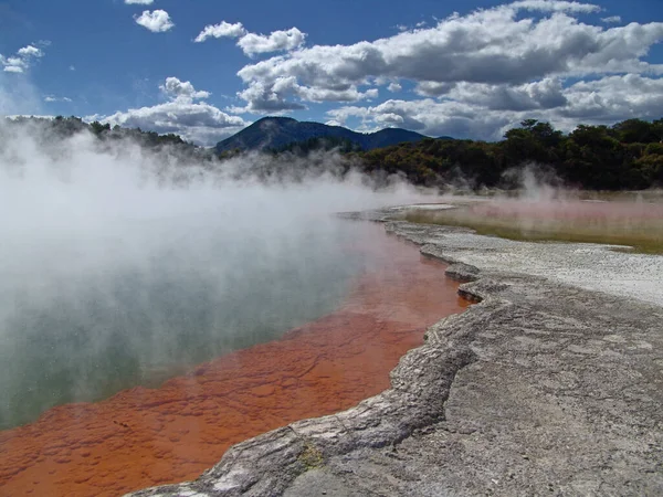 Egy Gejzír Rotoruai Whakarewarewa Thermal Valley Ben Zéland Északi Szigetén — Stock Fotó