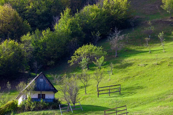 山上的风景 一座古老的小房子 绿草如茵 绿树成荫 — 图库照片