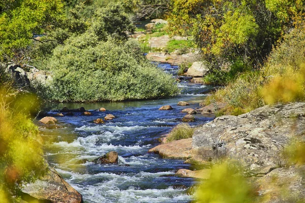 Río Flujo Rápido Otoño Otoño —  Fotos de Stock