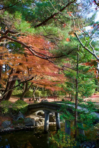 Pionowe Ujęcie Pięknego Jesiennego Widoku Parku Drzewami Małym Mostem Nad — Zdjęcie stockowe