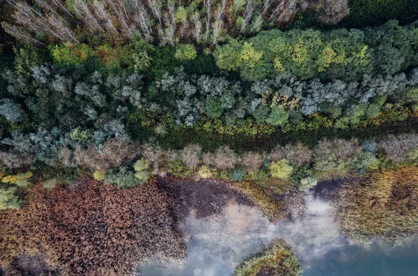 Luftaufnahme Eines Waldes Der Bucht Eines Flusses Oder Sees — Stockfoto