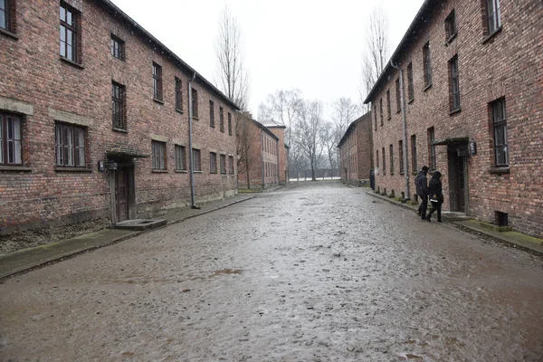 Una Splendida Vista Sul Complesso Dei Campi Concentramento Auschwitz Polonia — Foto Stock
