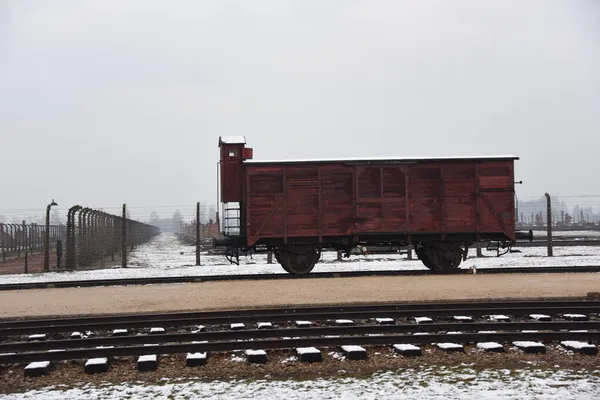 Complesso Dei Campi Concentramento Auschwitz Polonia — Foto Stock