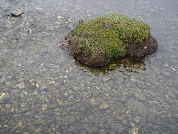 Top View Stone Covered Moss Water Full Small Stones — Stock Photo, Image