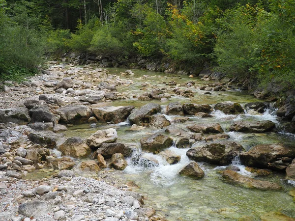 Une Vue Pittoresque Ruisseau Montagne Dans Lit Pierre Bord Des — Photo