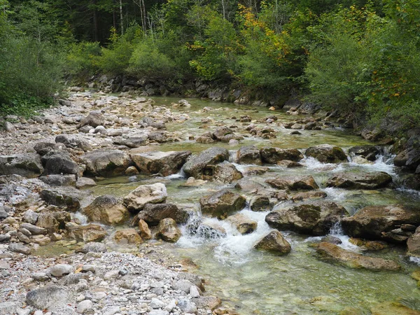 Живописный Вид Горный Ручей Каменном Слое Краю Зеленых Кустарников Деревьев — стоковое фото