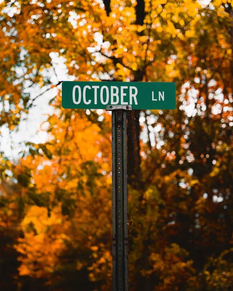 Selective Green Sign Road Forest Fall Colors — Stockfoto